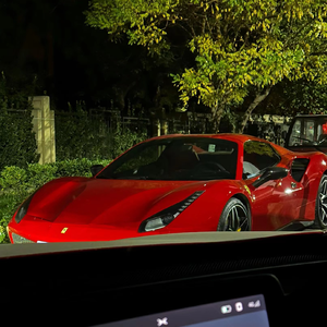 唐校长罗莉金选
