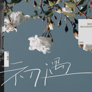 唐校长罗莉金选
